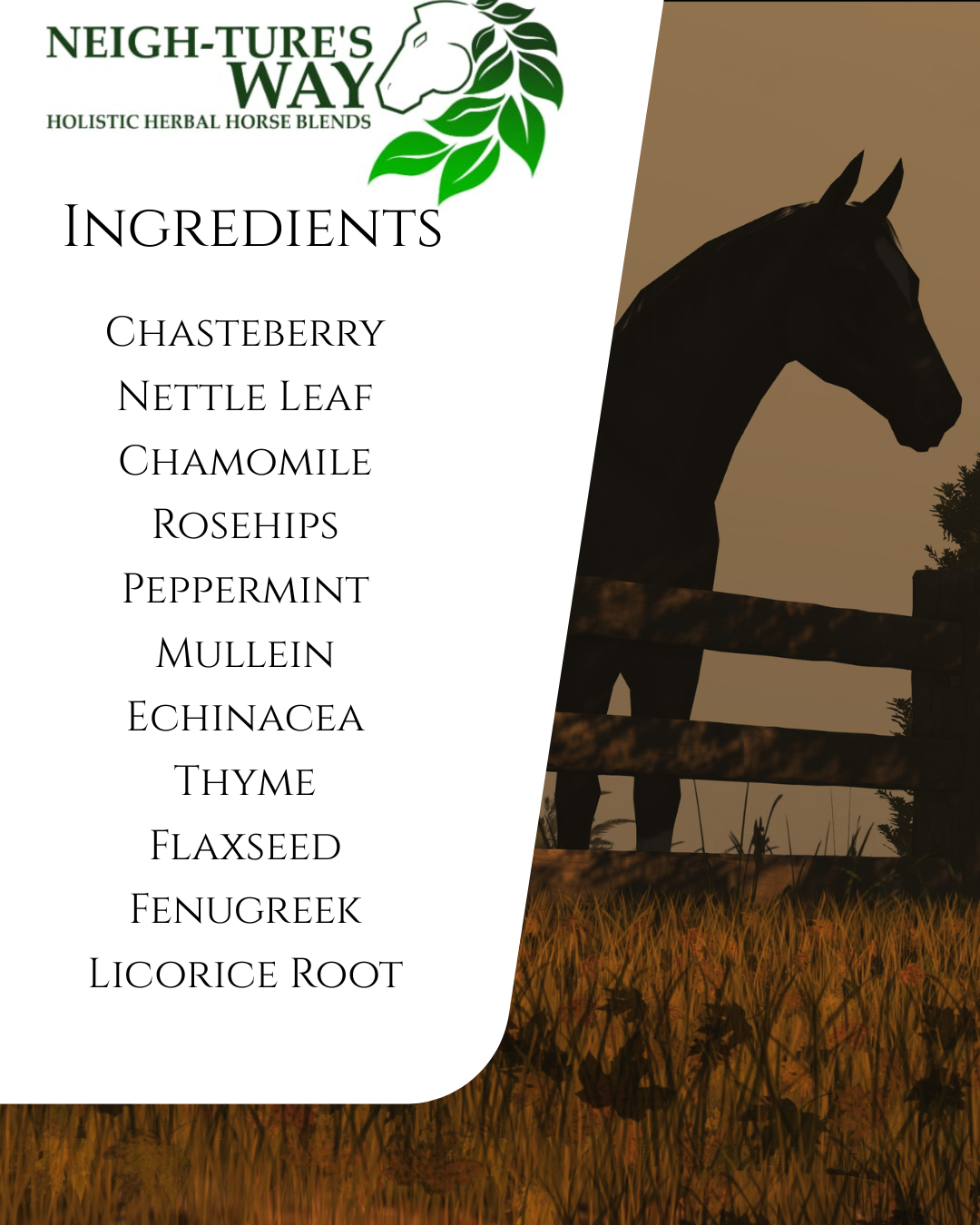 General Wellness herbal horse supplement 1lb (60 day supply)